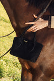 Meredith Top Handle Crossbody Bag