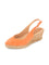 Coral Color