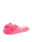 Raspberry Color