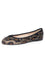 Black Leopard Color